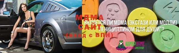 прущие грибы Белокуриха