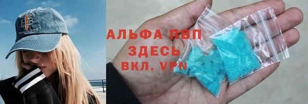 прущие грибы Белокуриха