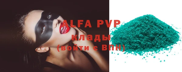 прущие грибы Белокуриха