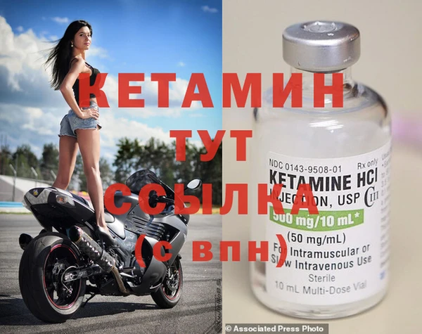прущие грибы Белокуриха