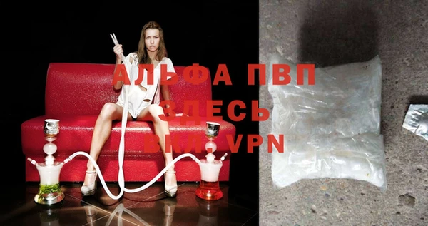 прущие грибы Белокуриха